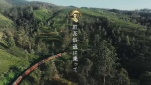 目黒蓮 午後の紅茶 ロケ地 スリランカ 紅茶鉄道