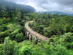 目黒蓮 午後の紅茶 鉄道 橋 ナインアーチズブレッジ