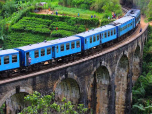 目黒蓮 午後の紅茶 鉄道 橋 ナインアーチズブレッジ