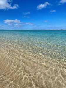 目黒蓮 午後の紅茶 ロケ地 海 ビーチ